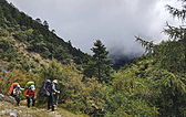 转山爬升，绕着这座山爬升。穿过松树森林抵达灌木林，就可见第一个小湖泊错下马。